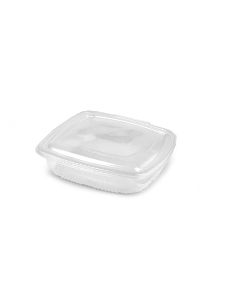 Reusable polypropylene containers with lid and hinged lid (Microwaveable)