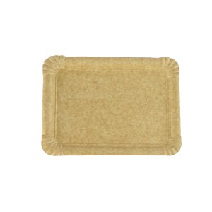 Biodegradable Cardboard Trays 2