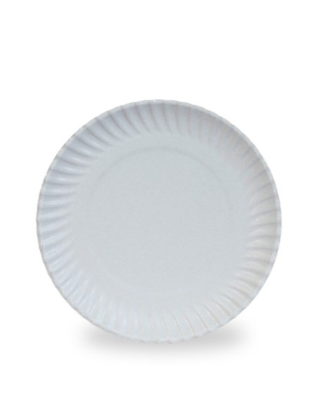 Recycled Cardboard Plates