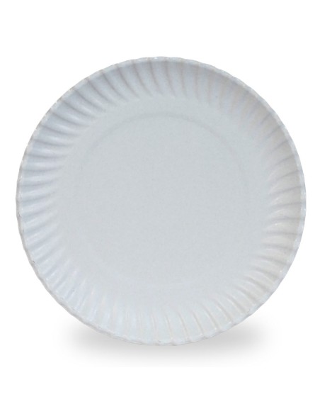 Recycled Cardboard Plates