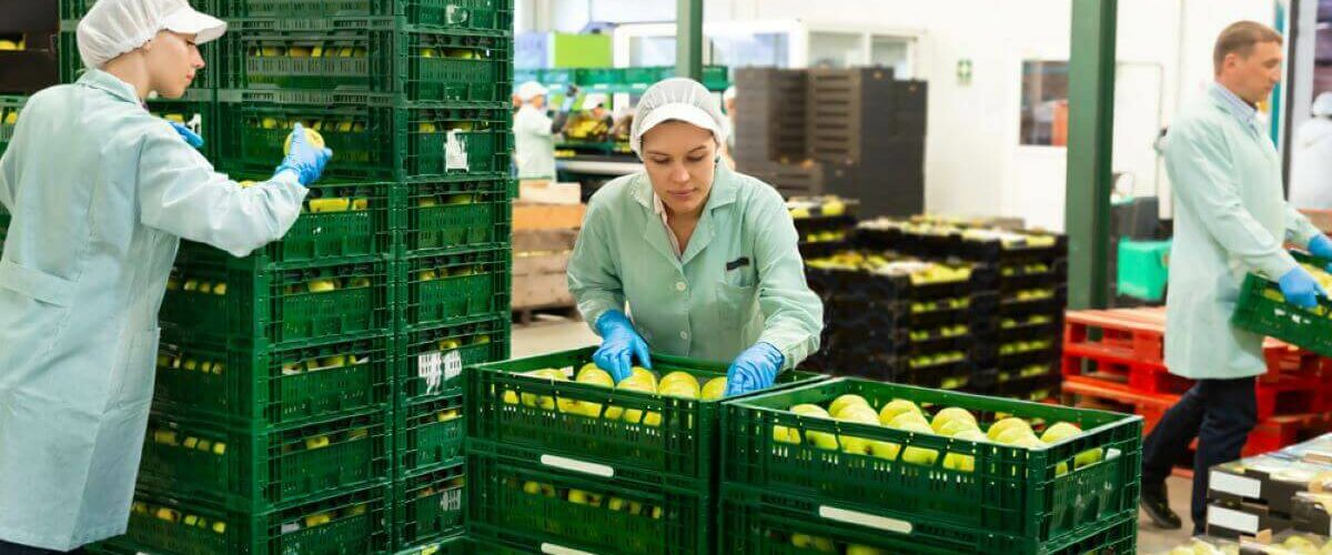 limpieza y desinfeccion industria alimentaria