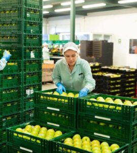 limpieza y desinfeccion industria alimentaria