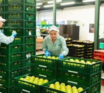 limpieza y desinfeccion industria alimentaria
