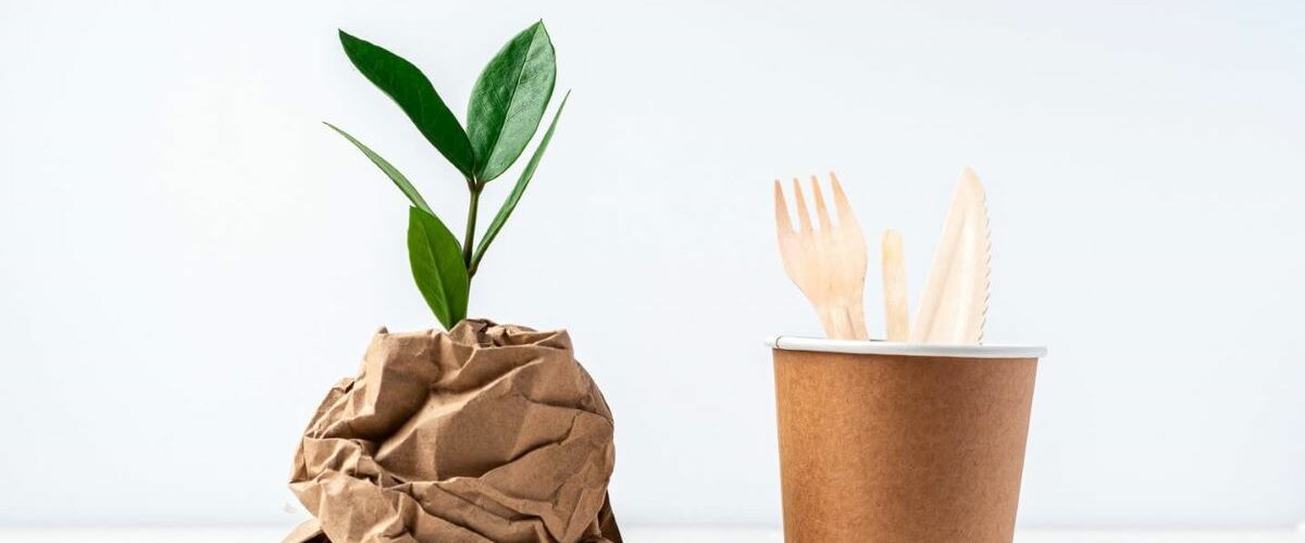 diferencias compostable y biodegradable