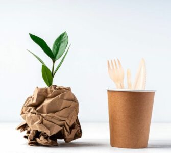 diferencias compostable y biodegradable