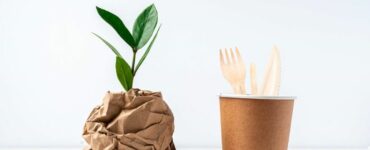 diferencias compostable y biodegradable