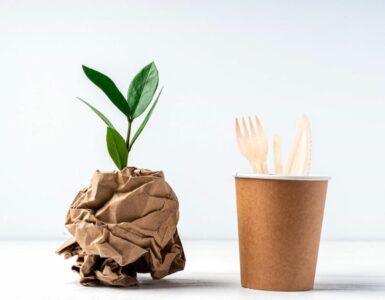 diferencias compostable y biodegradable