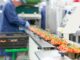 inocuidad alimentaria