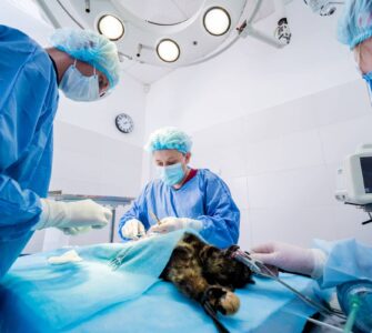 elementos-proteccion-personal-veterinarios