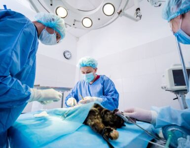Normas hospitalarias: regulaciones y normativas sanitarias en el sector de la medicina y el equipamiento hospitalario
