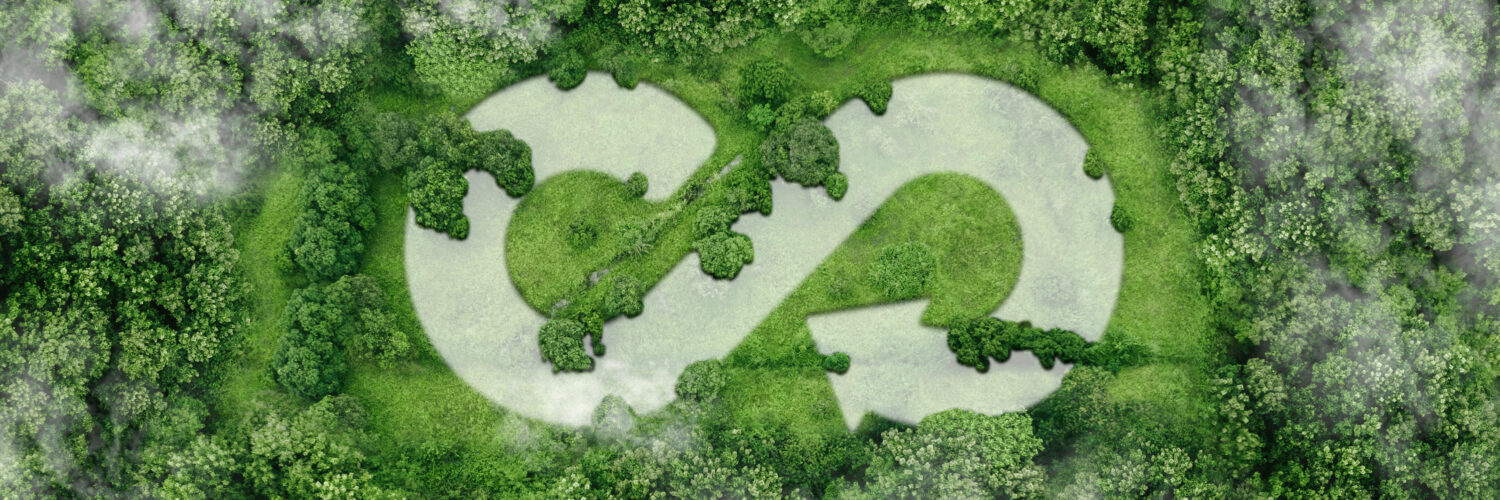 Qué es la economía circular y cómo aplicarla en tu empresa